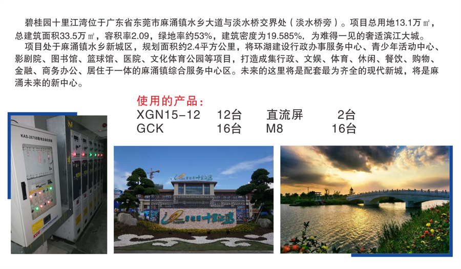 碧桂园十里江湾.png