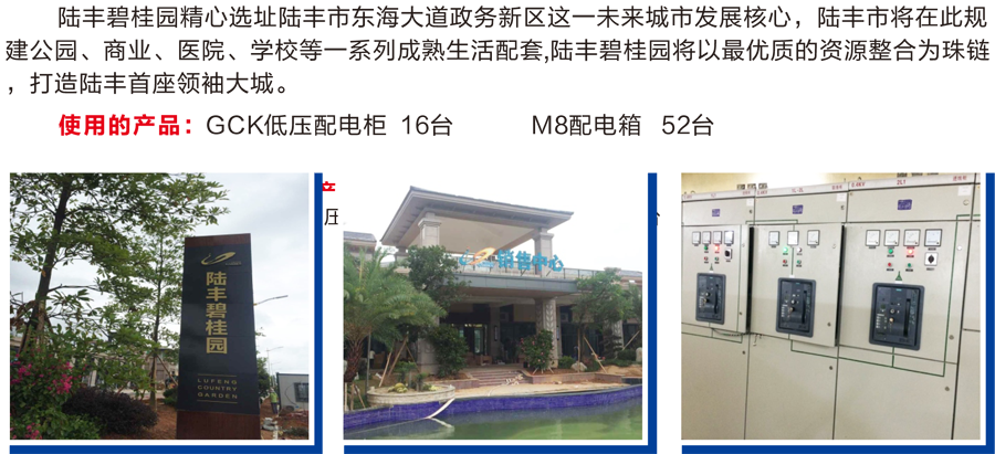 陆丰碧桂园.png